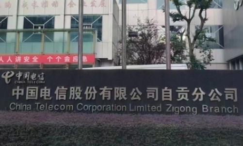 中國電信自貢分公司IT維保項目